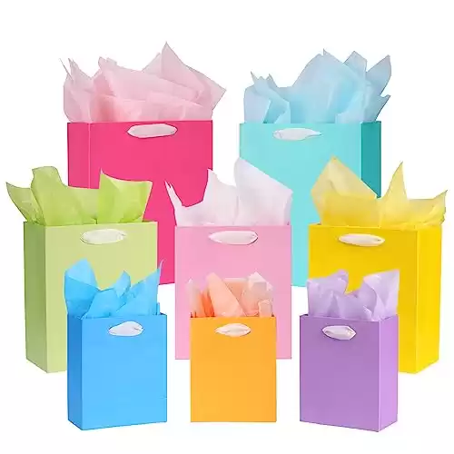 Colorful Gift Bags, Assorted Sizes, Includes Vibrant Tissue Paper, 3 Small (6"), 3 Medium (9"), 2 Large (13")