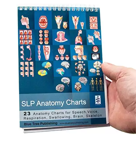 Anatomy Flip Book for Speech-Language Pathologists