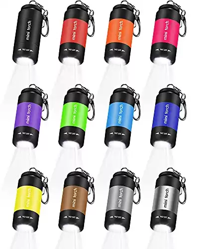 12 Mini Keychain LED Flashlights, USB Rechargeable