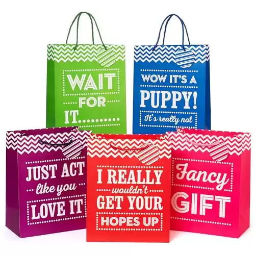 Funny Large Gift Bags, Set of 5, 13x10.5x5.75 Inches