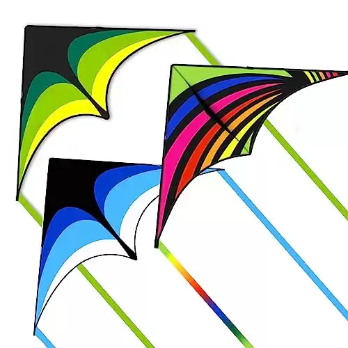 Mint's Colorful, Easy to Fly Delta Kites, Best Kite for Beginners (3pc)